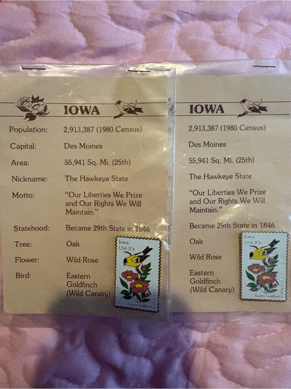 Iowa State Collectible Card with Wild Rose and Goldfinch Pins- Set of 2